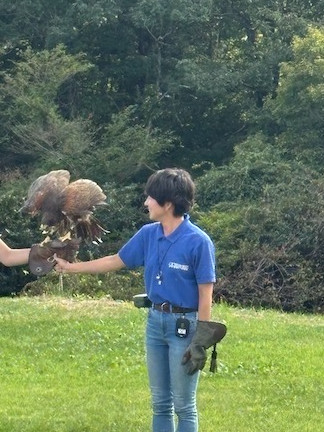 nasuanimal